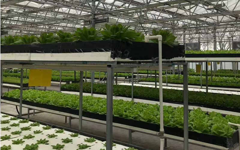 AG8亚洲国际游戏集团_首页官网